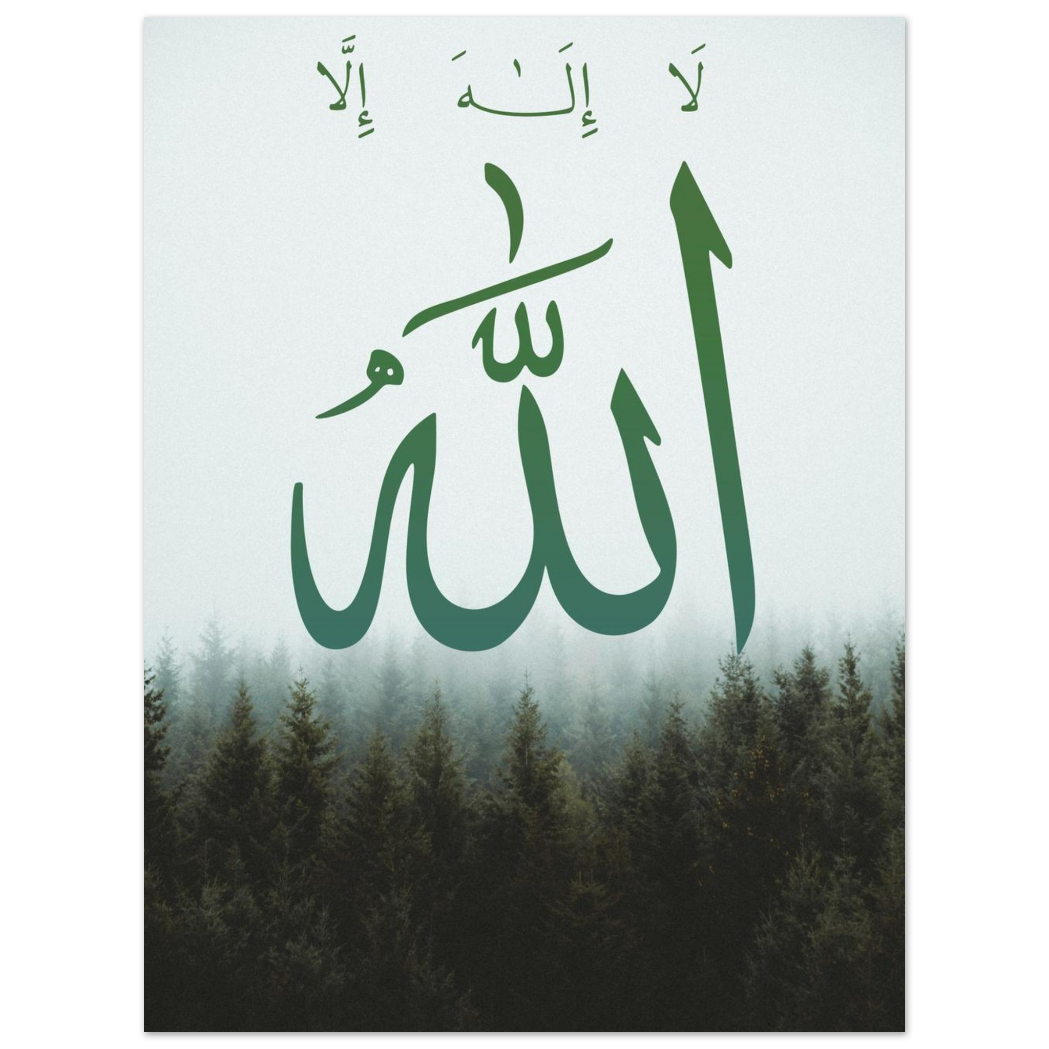 00ff76fa-343d-4e7e-89cb-f28724aa33bb