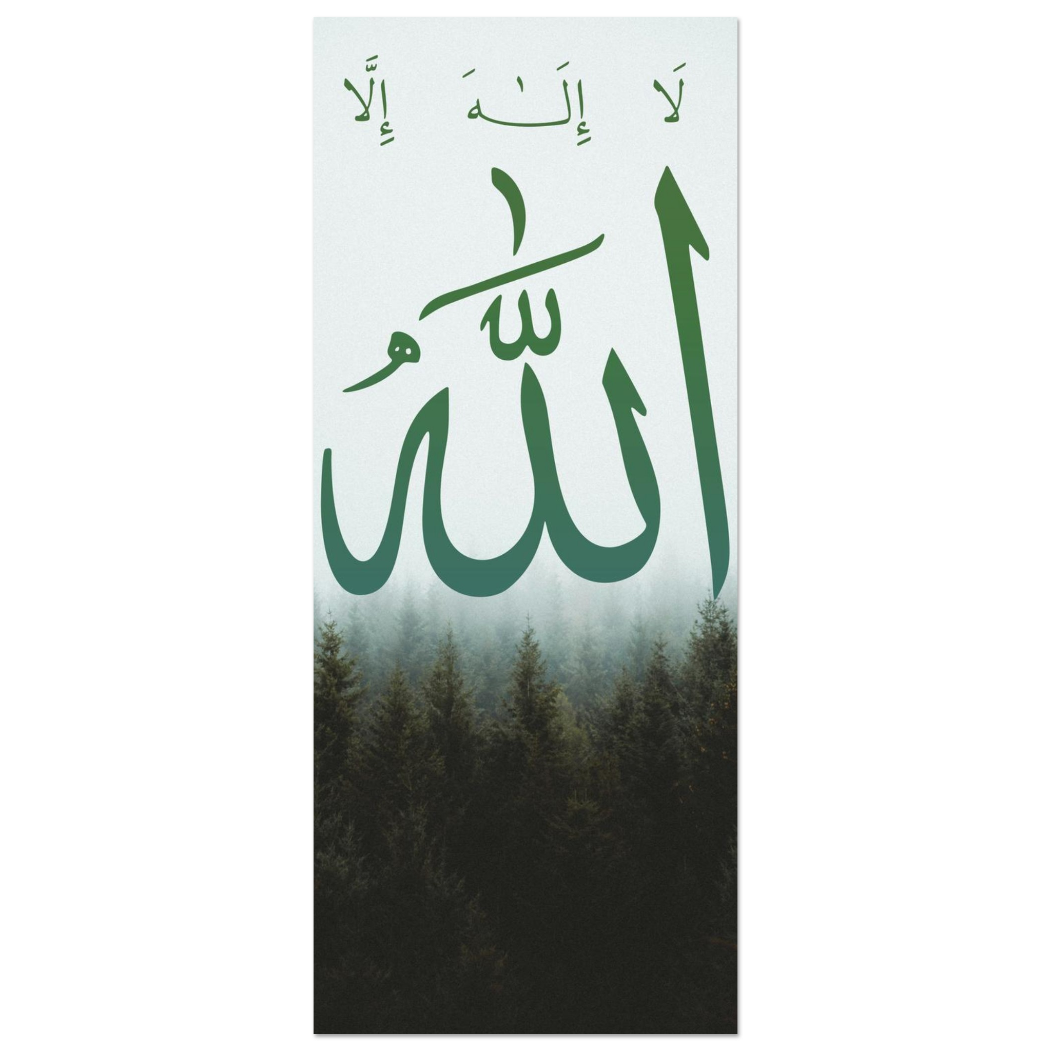 2443fc4b-a93e-4657-a67f-69ab0003a8d3