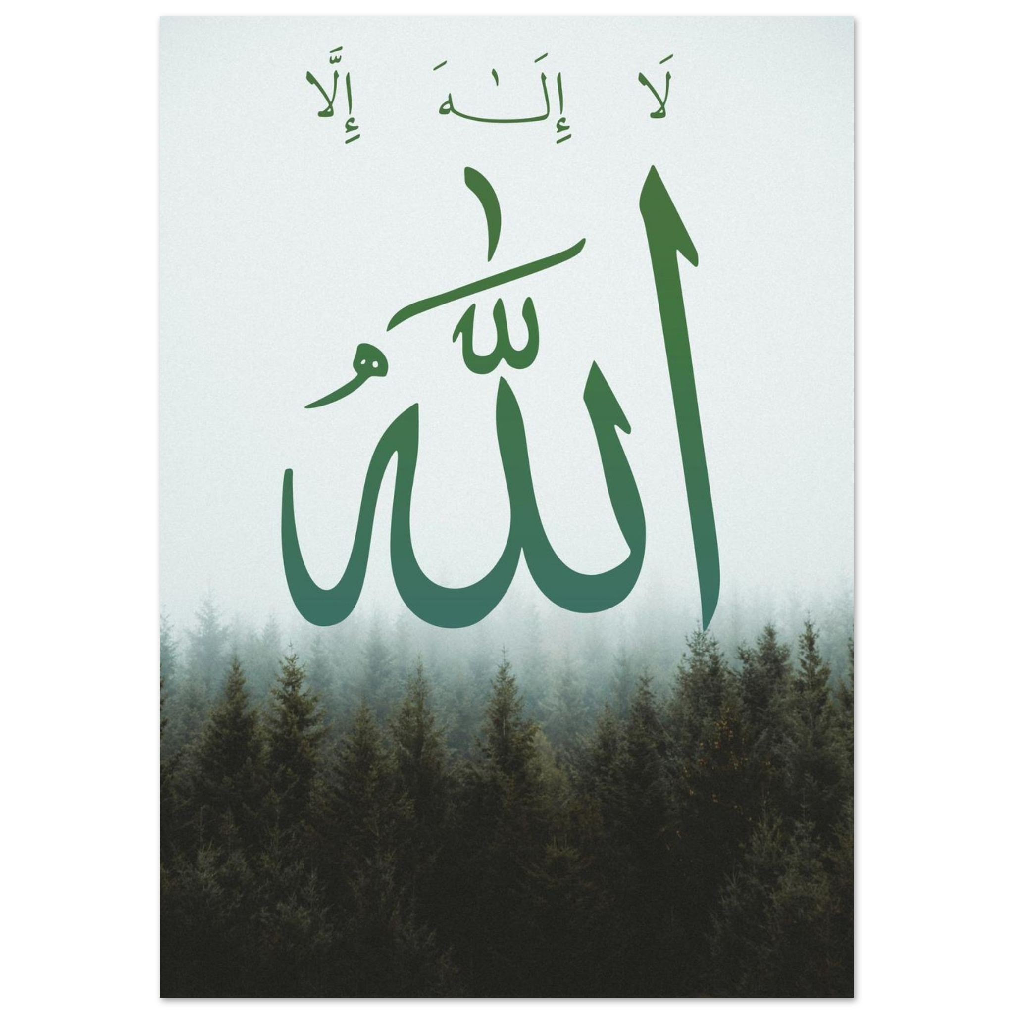 32c7223a-b329-4081-b894-e5d14d90a702