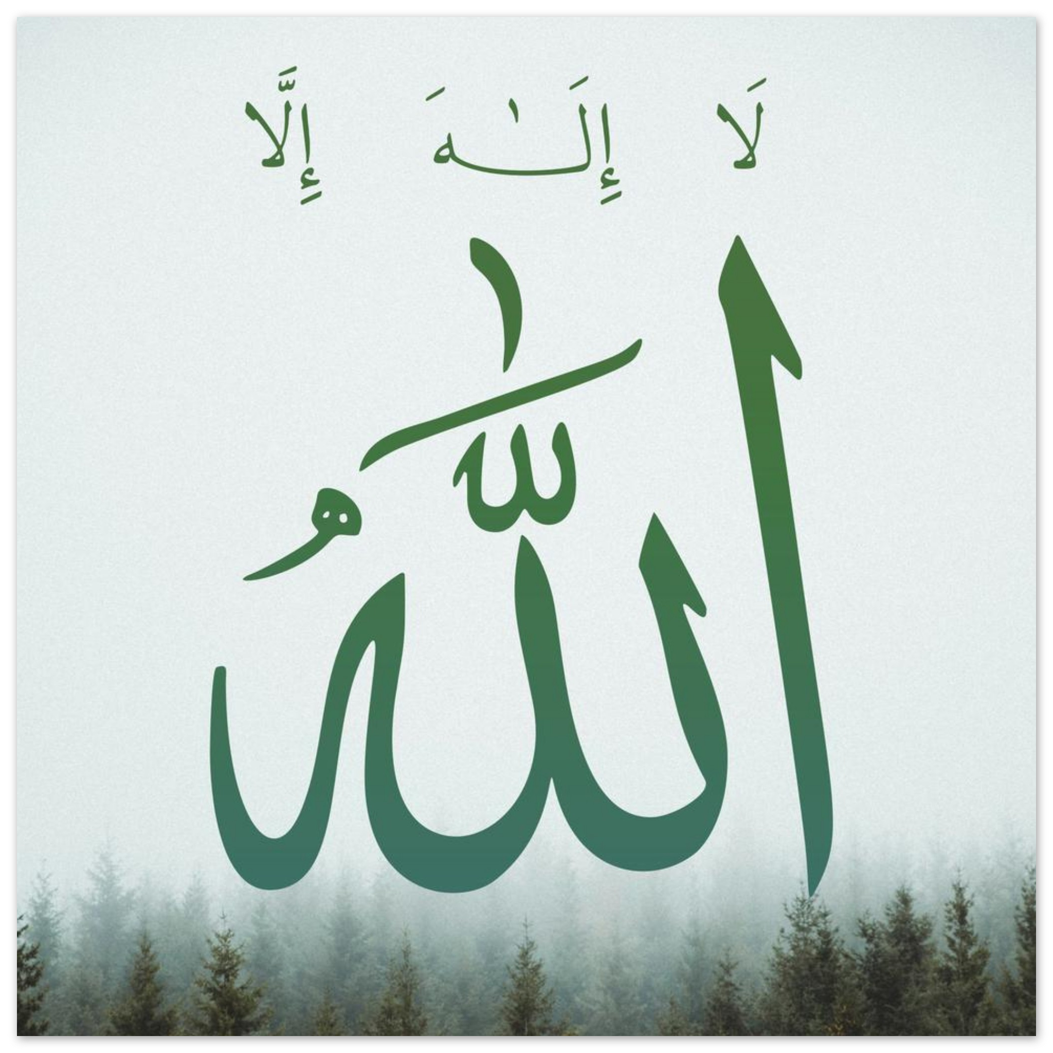 39268a09-e06d-440f-bcce-f003cd260f60