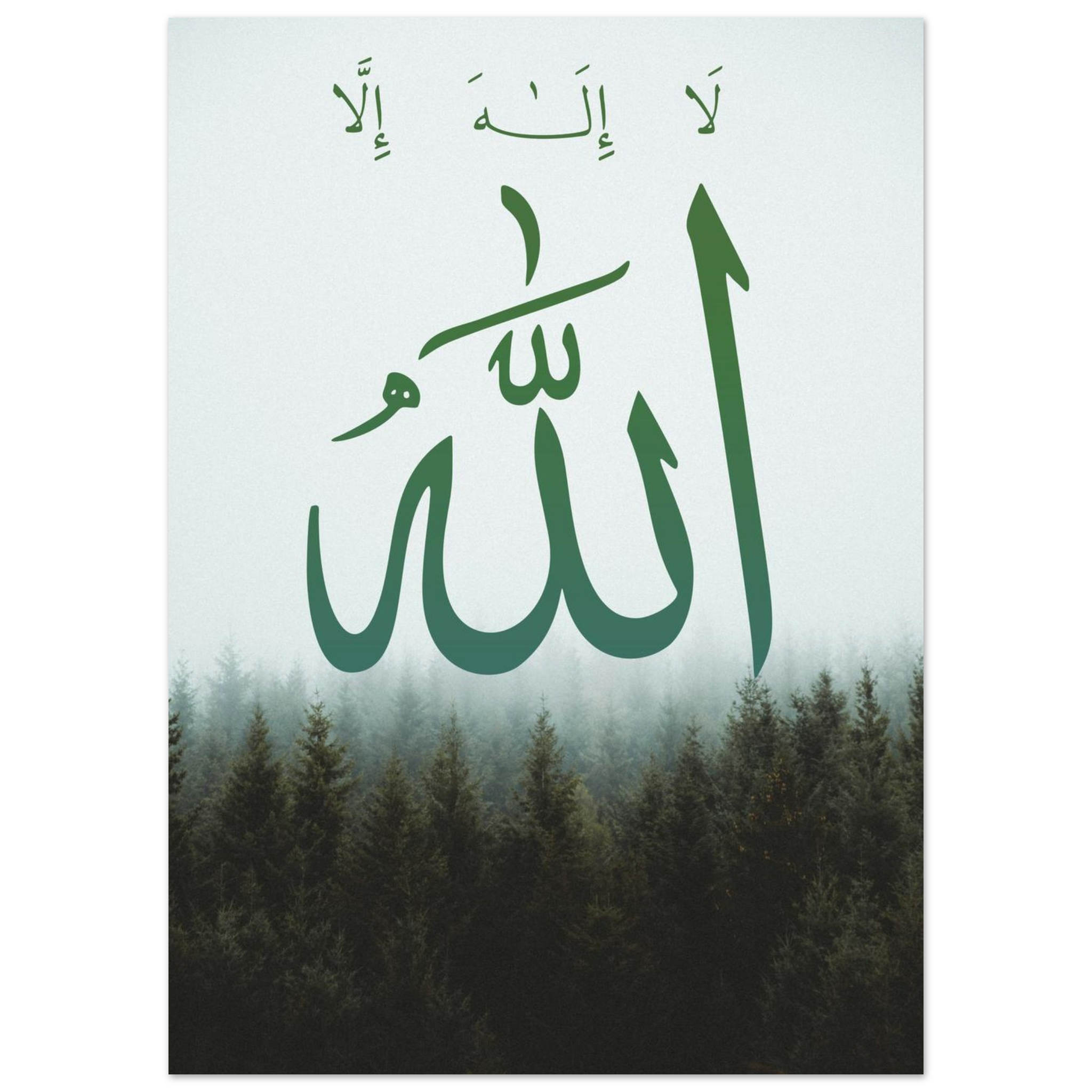 5a0b2d15-c9d9-465a-b9b7-47aa94cd1c55