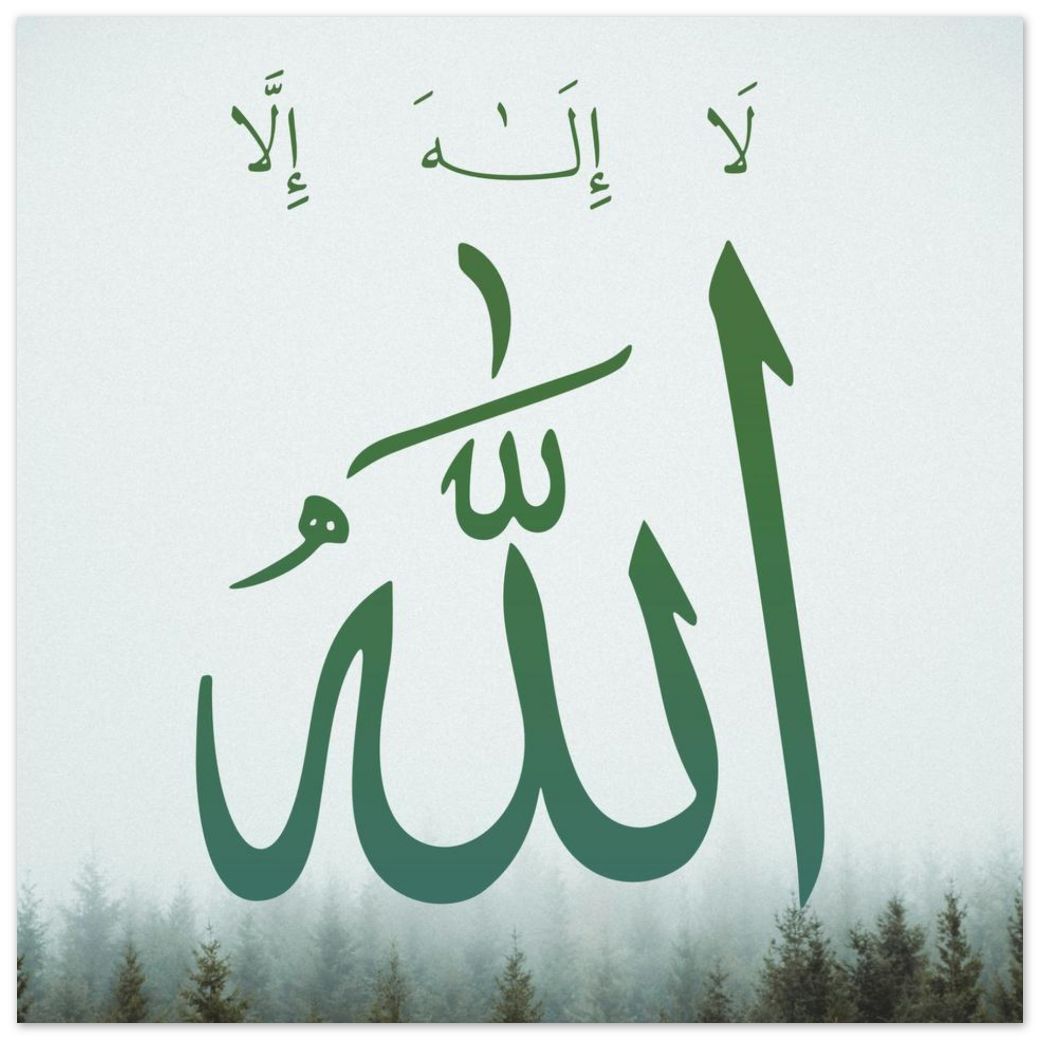 81f0fa0b-b240-458e-8ed4-4126fe588c8c