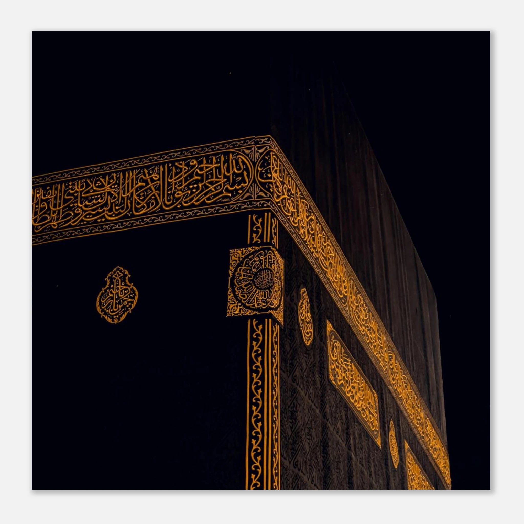 8a466e76-f8f2-4651-ac51-76b7c2d48ea8