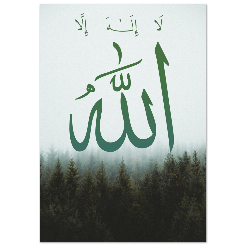 8e9499b5-28ff-40a1-a4df-5ab5c7578f5d