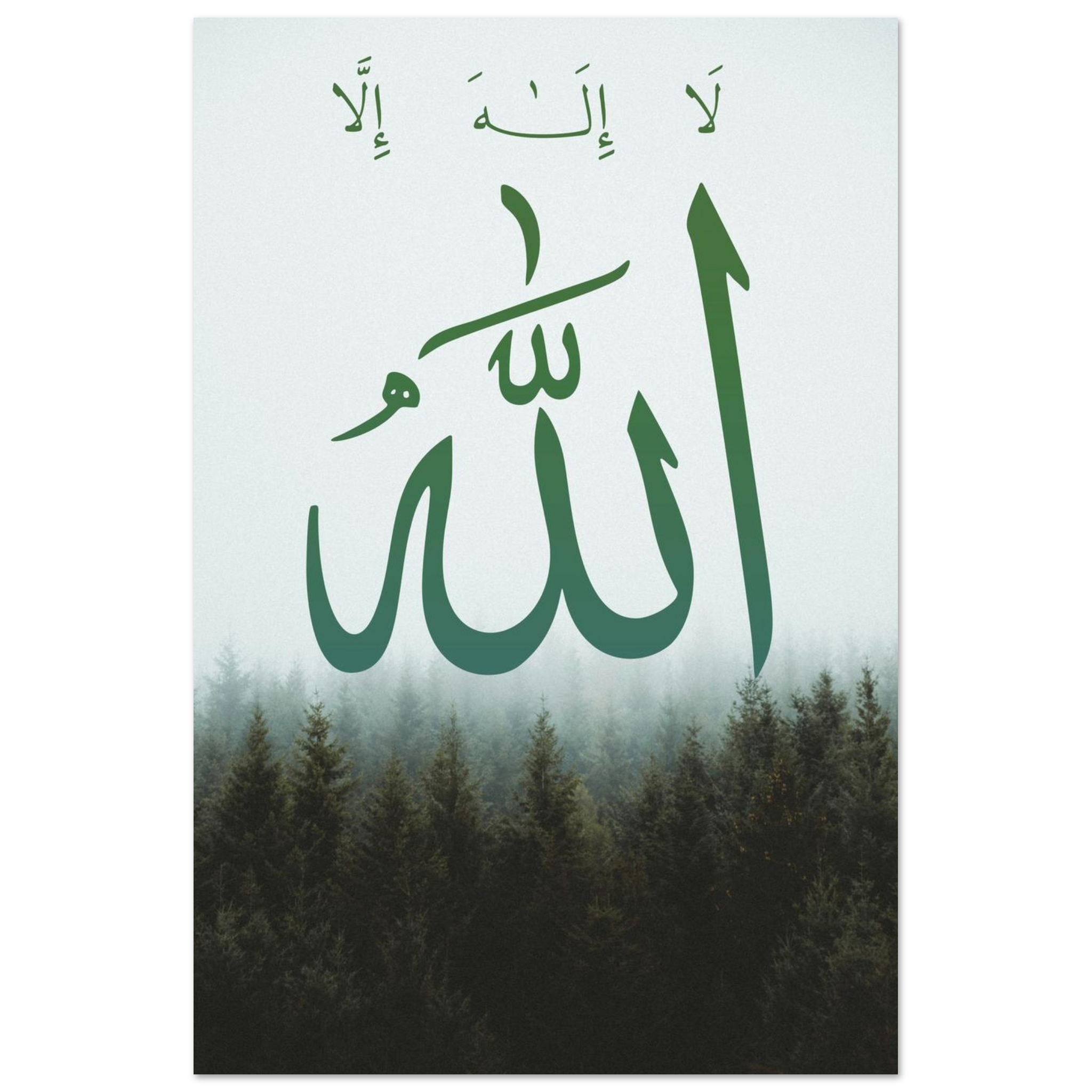 a05516e2-fa75-40fc-8f80-a87f41f83875