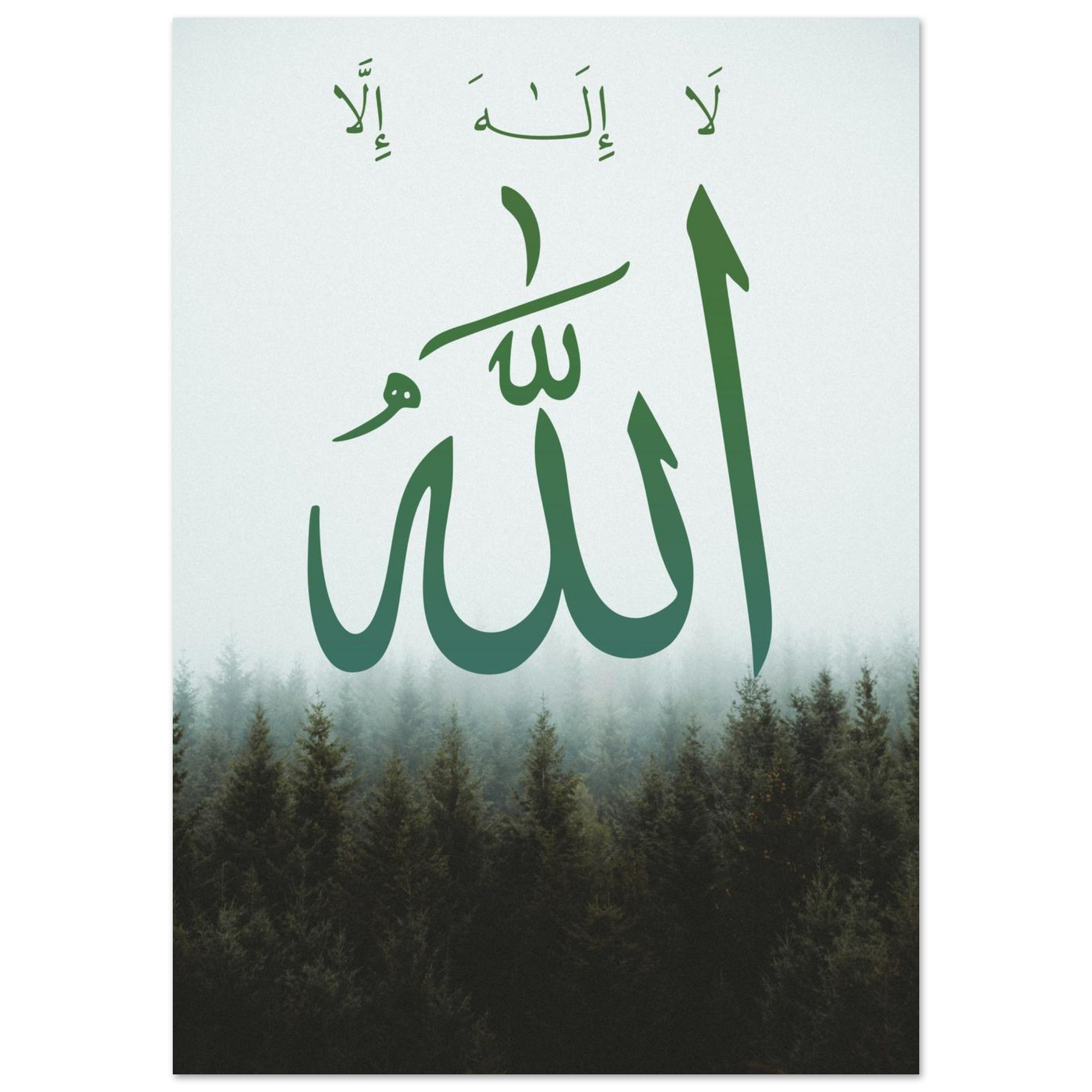 b20025a1-8a52-4045-8a01-cd012243110e