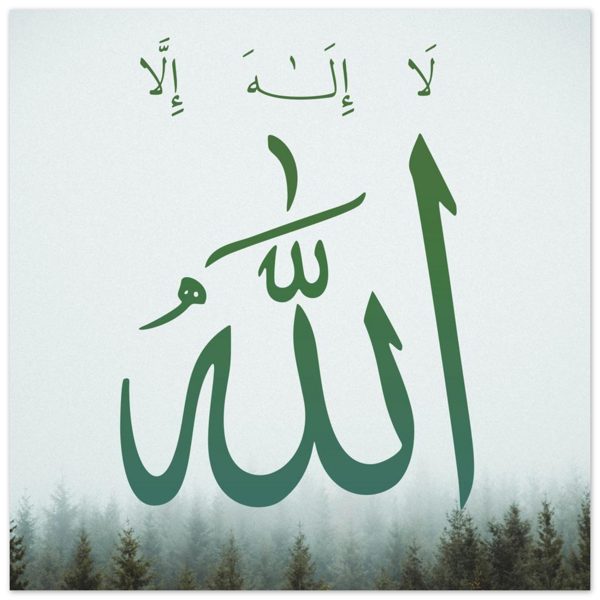 bfcb649b-0c22-439b-8785-3dc608a61241