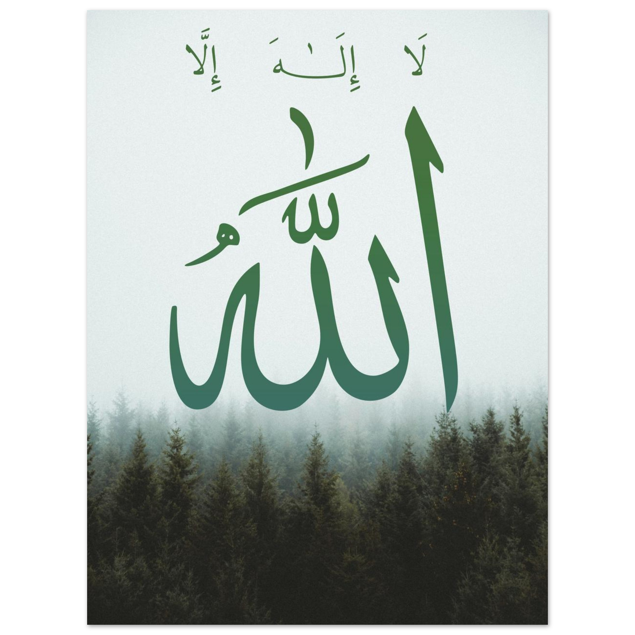 c026a3b1-57fc-482e-a6e6-e85b07ecb9af