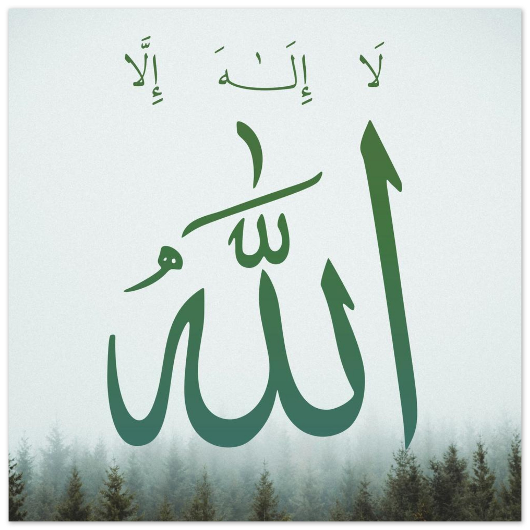 cb5a3547-0115-4a2b-a387-c3824d070d45