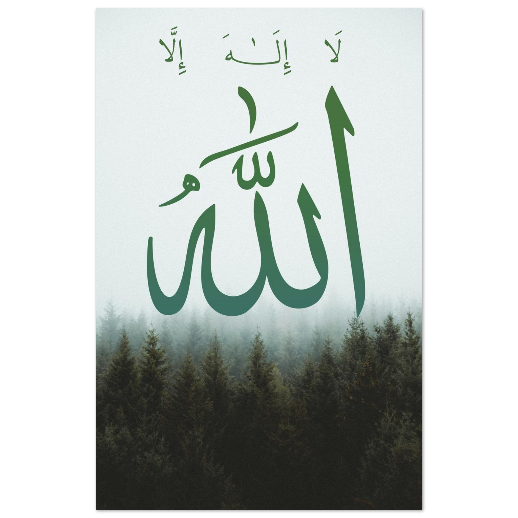 d1708437-afb7-4903-8d35-5719eab7f9ee